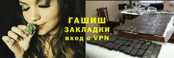 шишки Осташков