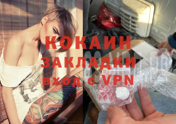 шишки Осташков