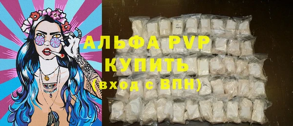 шишки Осташков