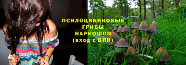 шишки Осташков