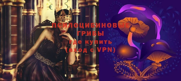шишки Осташков