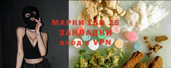 шишки Осташков